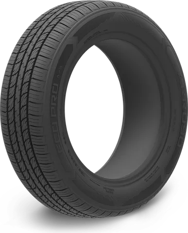 Arroyo Eco Pro A/S tire